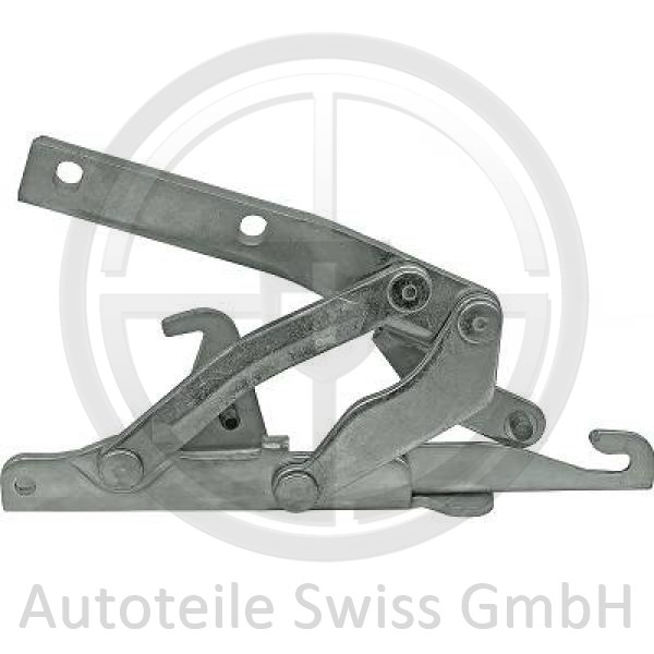 HAUBENSCHARNIER LINKS 