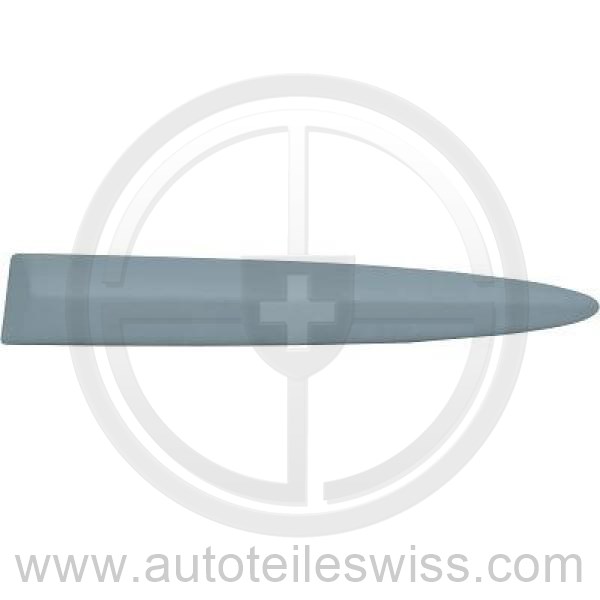 LEISTE HINTEN LINKS 