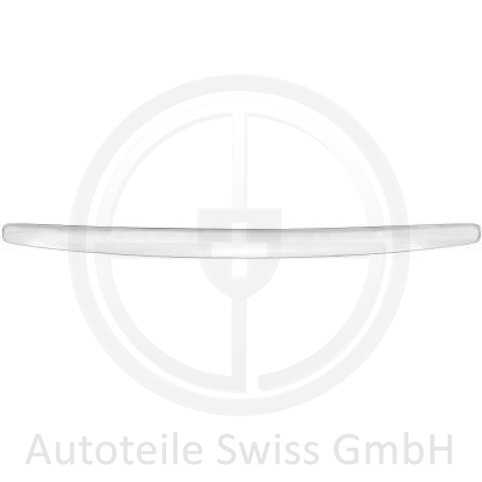CHROMZIERLEISTE AN DER MOTORHAUBE