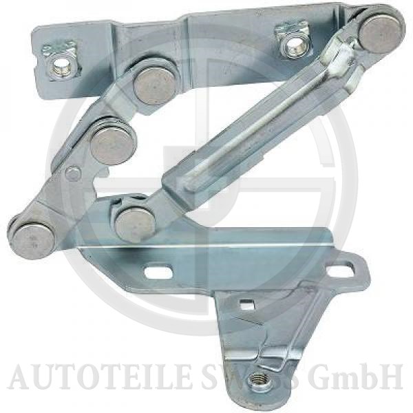 HAUBENSCHARNIER LINKS 