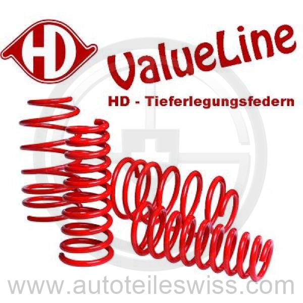 TIEFERLEGUNGSFEDERN SATZ 