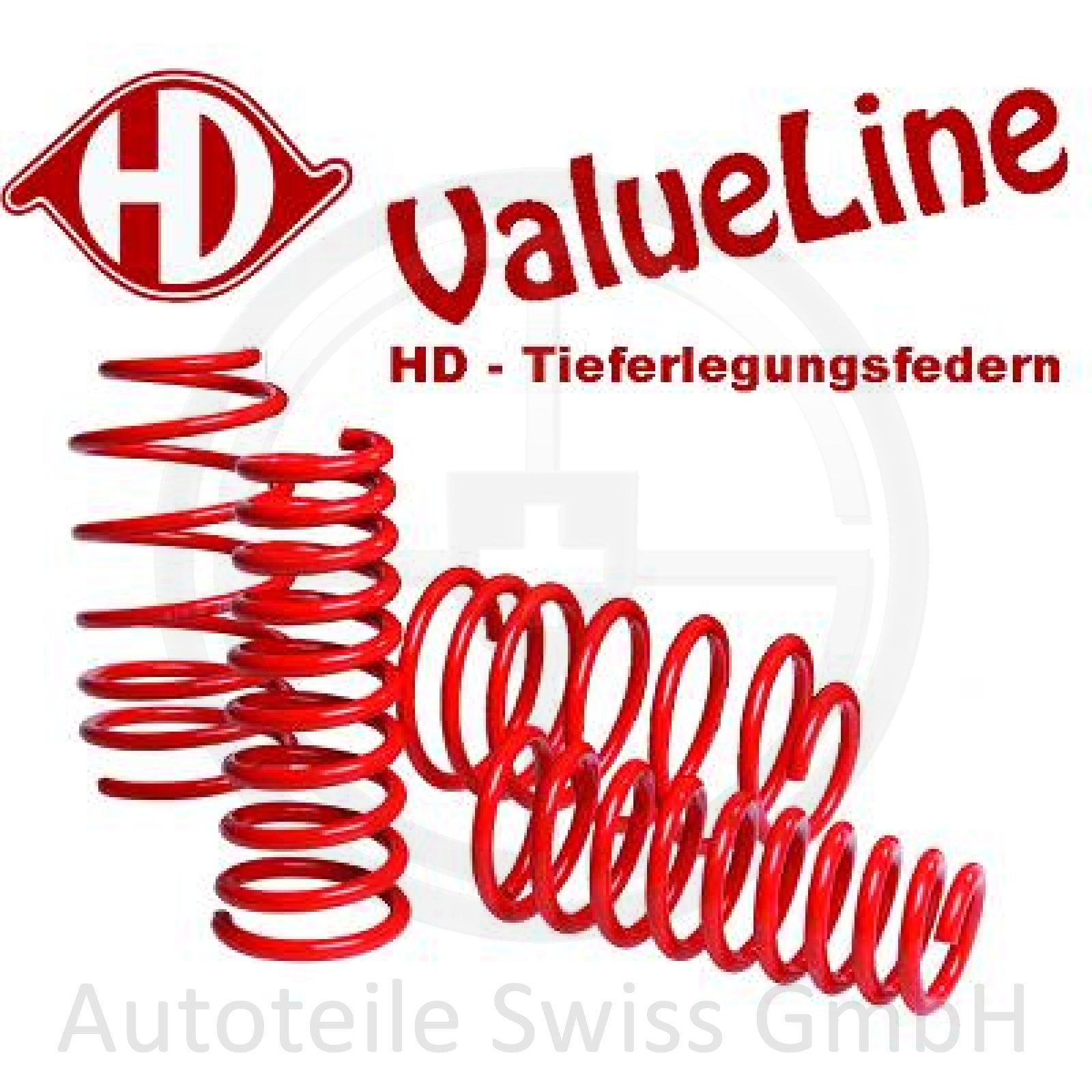 TIEFERLEGUNGSFEDERN 